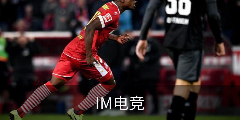 IM电竞简介